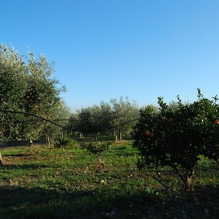 Agriturismo - B&B "La Funicolare" Francavilla Marittima Exterior foto